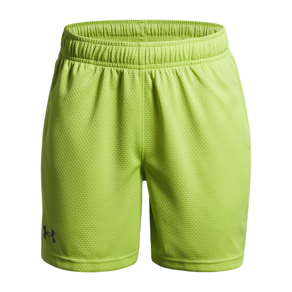 Under Armour Boys' Tech Mesh Shorts